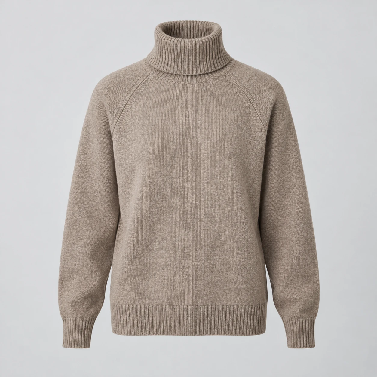 Form Raglan Turtleneck in Pebble, front view